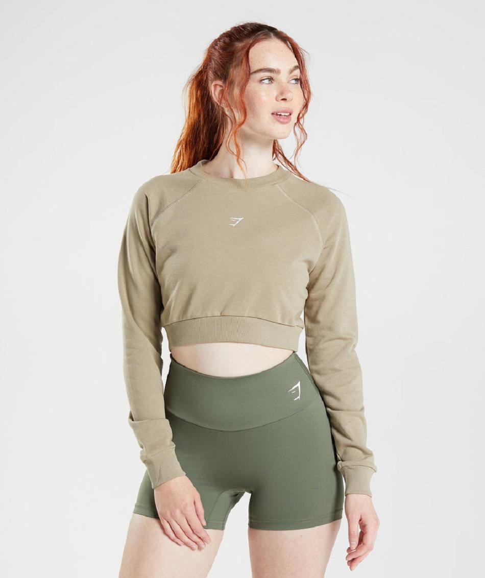 Correr Con Capucha Gymshark Entrenamiento Cropped Sueter Mujer Marrones | CO 2605ZUT